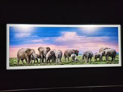 -罗红摄影艺术馆