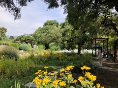 -国家植物园南园