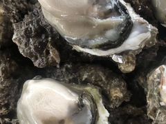 生蚝-珍珠海味购物中心