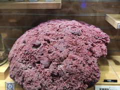 -青岛海底世界-水族馆