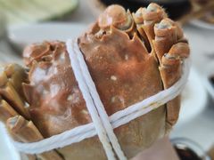 -蟹天蟹地农家菜·阳澄湖大闸蟹(浅水湾店)