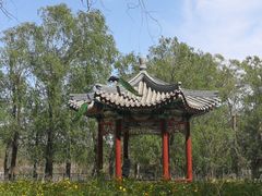 -北京麋鹿生态实验中心