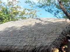 -海南槟榔谷黎苗文化旅游区