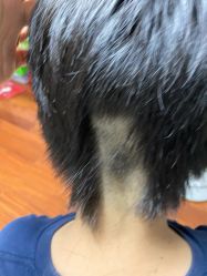 -PE SALON 