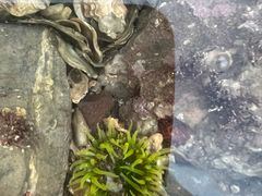 -小黑石海滨浴场·停车场