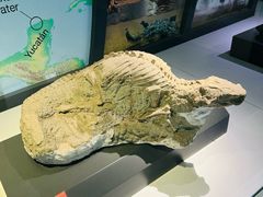 -北京大学赛克勒考古与艺术博物馆