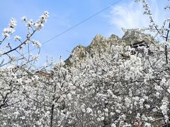-鸡鸣山旅游风景区