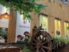 -大理董·董家小厨野生菌火锅(古城旗舰店)
