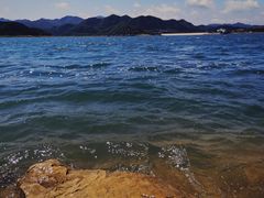 -望湖烤鱼