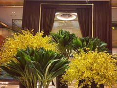 -长沙芙蓉国温德姆至尊豪廷大酒店 - 自助餐厅