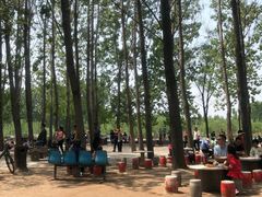 -东方巨龟苑景区