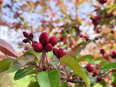 -元大都城垣遗址公园