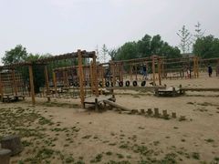 -大鹅岛灶台鱼·铁锅炖(水库路店)