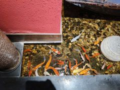 -颐和•海鲜砂锅粥•啫啫煲(奥林匹克广场店)
