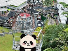 -圣淘沙天际线斜坡滑车