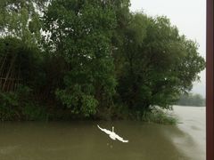 -长兴太湖图影湿地文化园