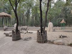 -北京野生动物园