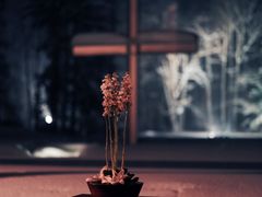 -水之教会