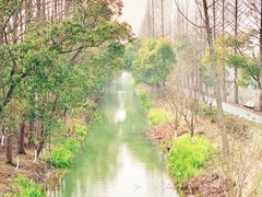 -上海长兴岛郊野公园