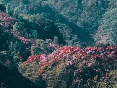 -岳西天峡风景区