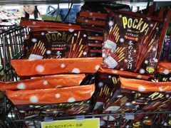 -Bic Camera (难波店)