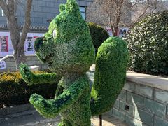 -阳台山自然风景区