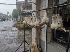 -何记羊汤馆(丽水佳源店)