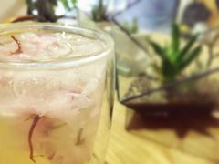 -柴务处·柴犬主题狗咖