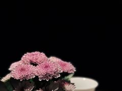 -广州花园酒店荔湾亭·地道点心·粤式饮茶