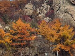 -崂山巨峰游览区