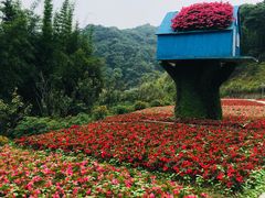 -广州市石门国家森林公园