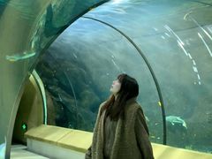 -福州罗源湾海洋世界旅游区