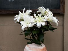 -夏朵餐厅(丁香店)