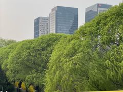 -元大都城垣遗址公园