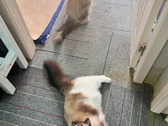 -零纪元VR体验馆·桌游(黄浦店)