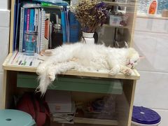 -荔康动物医院(康王北路店)