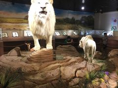 -陕西自然博物馆