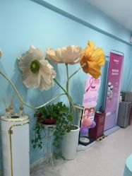 -斐尔国际皮肤管理中心