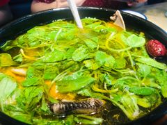 -吕记老鸭汤·徽菜馆(东营路店)
