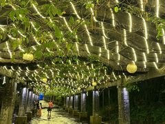 -花溪风景区