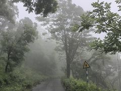 -南京老山国家森林公园