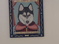 -Husky Go! 哈士奇体验馆·宠物咖啡厅狗咖