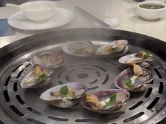 -青蓬蒸汽海鲜·深圳老字号·团建聚会(壹方城店)