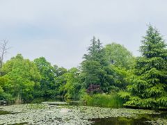 -白马涧龙池景区