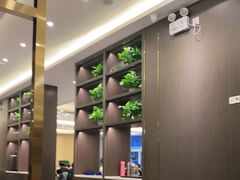 -刘胖子家常菜·蹄花焖藕(兴业店)