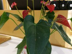 -湛江鑫海名城(鑫海华庭店)