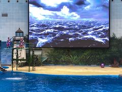 -海合安天津极地海洋公园