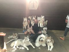 -TrueLove @ Neverland (Husky Cafe)