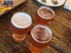 -Boxing Cat Brewery拳击猫精酿啤酒馆(思南公馆店)
