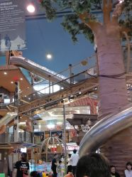 -卡通尼·Safari非洲探索乐园·生日会(金桥国际商业广场店)